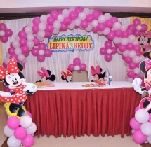 birthday Theme Decor